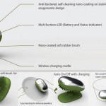 Dishwashing beetles with nanotechnology eliminate contamination of waters