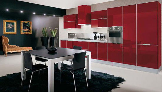 Glossy Kitchens Design pictures with polished aluminum frame