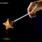 Magical seasoning combining the interestid in cooking and dressing up