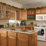 Oak kitchen cabinets to renovate houses