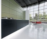 The winner of IMM Cologne 2008 kitchen design use waterfall faucet fit