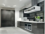 White Black Kitchens Designs picture ideas from Salvarani