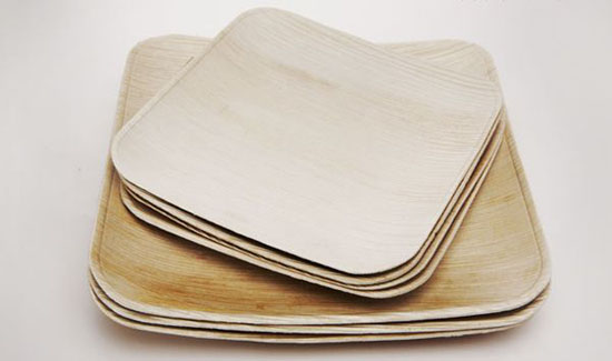 biodegradable plates made from natural material in ecologically design