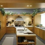 dream kitchen for the modern contemporary or even rustic interior kitchen design dream kitchen for the modern contemporary or even rustic interior kitchen design