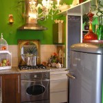 funky small kitchen with green wall