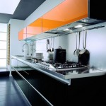 modern cosmopolitan kitchen is simple and minimalist