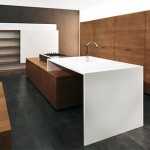 modern kitchen design available in some exotic woods including teak ebony and zebra