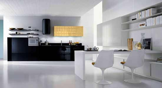 Modern kitchen design black and white color combination