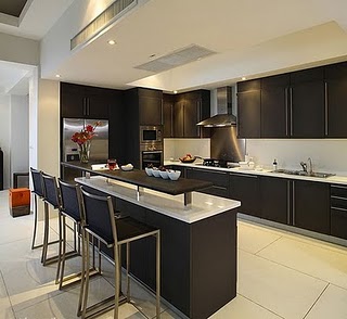 Black Kitchen Cabinets on Modern Kitchen With Black Cabinets To Store Bottles Or Can Jpg
