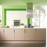 wood brown kitchen cabinet green wall