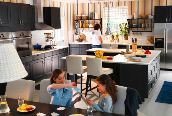 Kitchens Designs picture Ideas 2011 by IKEA in modern kitchen style
