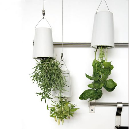Sky Planter easy way to get fresh herbs in your kitchen from Boskke