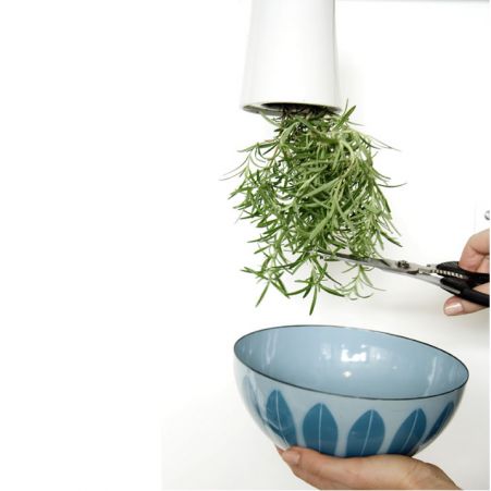 Sky Planter easy way to get fresh herbs