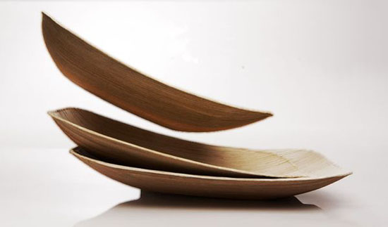 biodegradable plates made from natural materials in ecologically designs